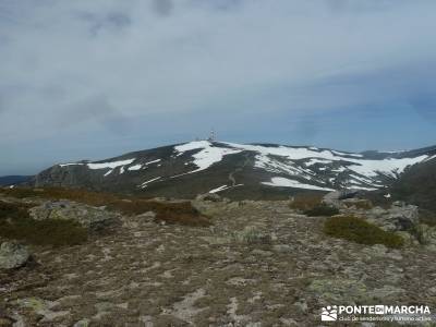 Maliciosa - Sierra de los Porrones [Serie Clásica] senderismo por guadalajara circo gredos mochila 